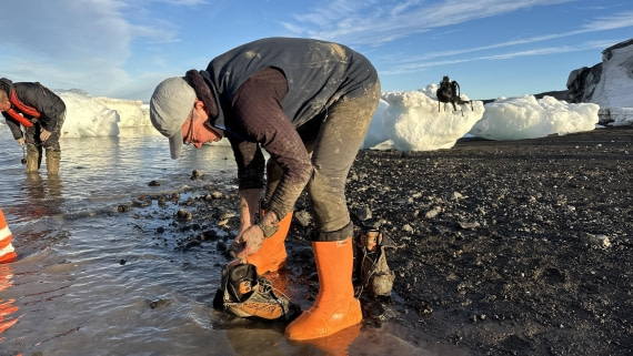 OTL31a26, Day 5, IMG_0892.jpg © Unknown Photographer - Oceanwide Expeditions.jpg