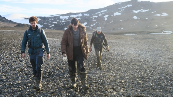 OTL31a26, Day 5, James Ross Island 21Mar PM Narly 6.JPG © Unknown Photographer - Oceanwide Expeditions.JPG