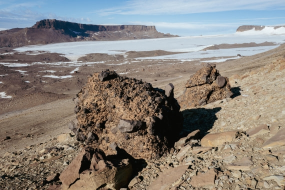 OTL31a26, Day 5, L1280148.jpg © Unknown Photographer - Oceanwide Expeditions.jpg