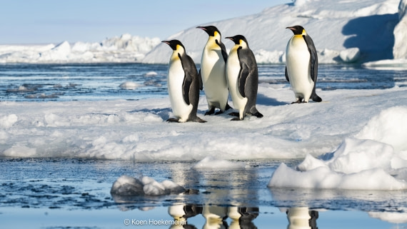 OTL31a26, Day 6, DSC_5027-Edit.jpg © Marco Rosso - Oceanwide Expeditions.jpg