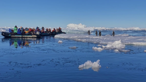 OTL31a26, Day 6, IMG_7959.jpeg © Andy Perkins - Oceanwide Expeditions.jpeg