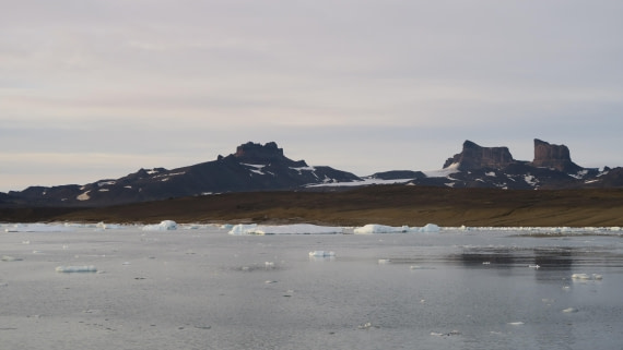 OTL31a26, Day 7, Brandy Bay 23Mar26 AM 1.JPG © Hélène de Méringo - Oceanwide Expeditions.JPG