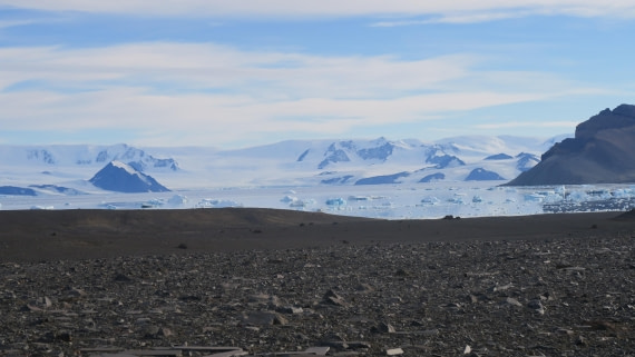 OTL31a26, Day 7, Brandy Bay 23Mar26 AM 3.JPG © Hélène de Méringo - Oceanwide Expeditions.JPG