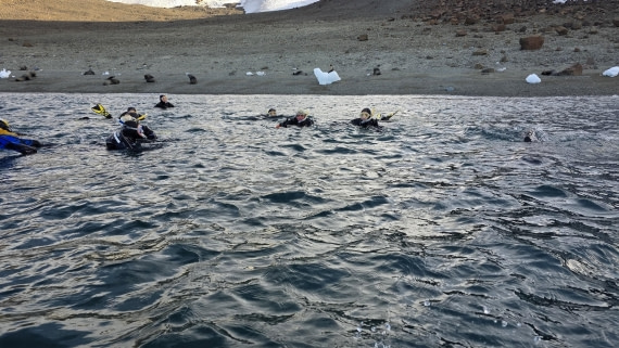 OTL31a26, Day 7, Crew Snorkel 20260323_160515.jpg © Sid Dewfall - Oceanwide Expeditions.jpg