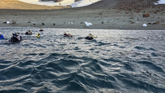 OTL31a26, Day 7, Crew Snorkel 20260323_160518.jpg © Sid Dewfall - Oceanwide Expeditions.jpg