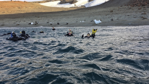 OTL31a26, Day 7, Crew Snorkel 20260323_160519.jpg © Sid Dewfall - Oceanwide Expeditions.jpg