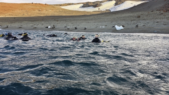 OTL31a26, Day 7, Crew Snorkel 20260323_160522.jpg © Sid Dewfall - Oceanwide Expeditions.jpg