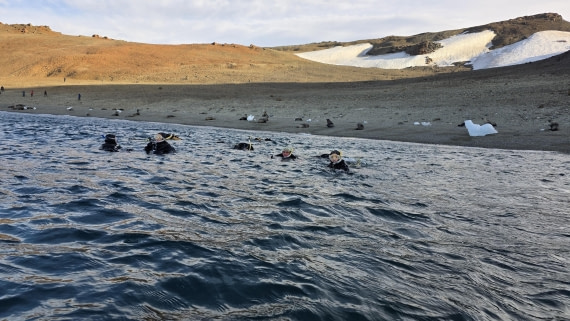 OTL31a26, Day 7, Crew Snorkel 20260323_160525.jpg © Sid Dewfall - Oceanwide Expeditions.jpg