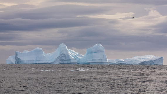 OTL31a26, Day 8, Marco (9).jpg © Marco Rosso - Oceanwide Expeditions.jpg