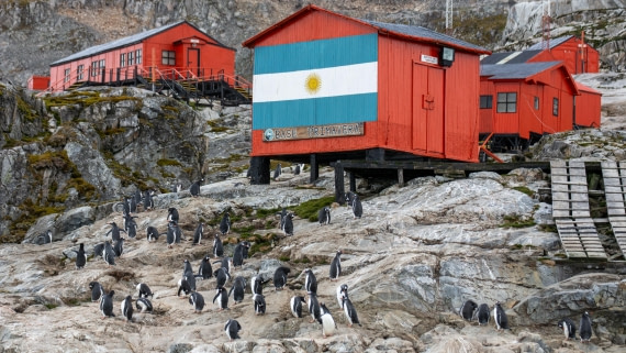 OTL31a26, Day 8, Marco (15).jpg © Marco Rosso - Oceanwide Expeditions.jpg