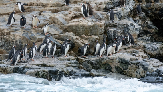 OTL31a26, Day 8, Marco (16).jpg © Marco Rosso - Oceanwide Expeditions.jpg