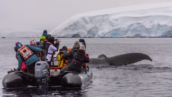 OTL31a26, Day 9, Marco (9).jpg © Marco Rosso - Oceanwide Expeditions.jpg