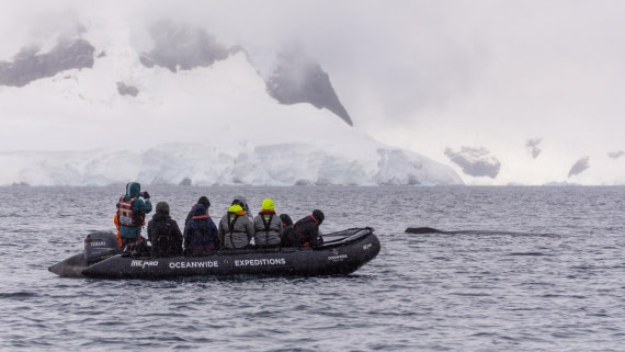 OTL31a26, Day 9, Marco (10).jpg © Marco Rosso - Oceanwide Expeditions.jpg
