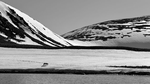 OTL03-26, Day 4, IMG_1312© Allan White - Oceanwide Expeditions.jpeg