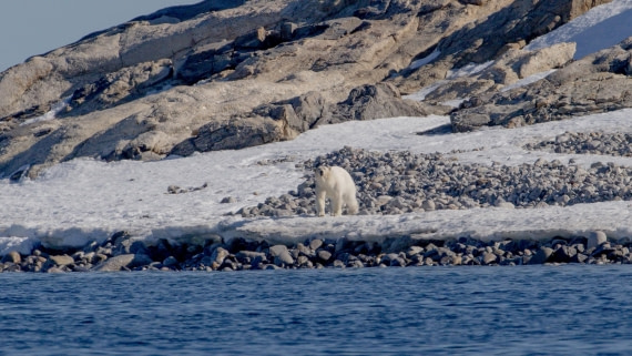 OTL03-26, Day 4, PippaLow-5456© Pippa Low - Oceanwide Expeditions.jpg