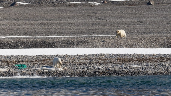 OTL03-26, Day 4, PippaLow-6148© Pippa Low - Oceanwide Expeditions.jpg