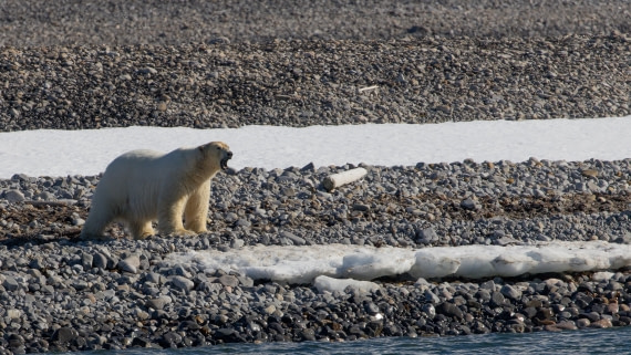 OTL03-26, Day 4, PippaLow-6266© Pippa Low - Oceanwide Expeditions.jpg