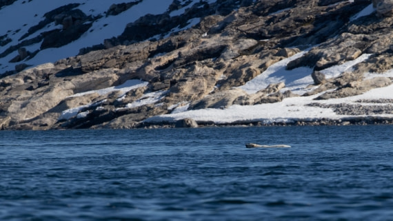 OTL03-26, Day 4, PippaLow-6309© Pippa Low - Oceanwide Expeditions.jpg