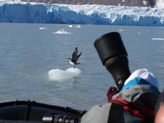 OTL03-26, Day 5, P6090649© Unknown photographer - Oceanwide Expeditions.JPG