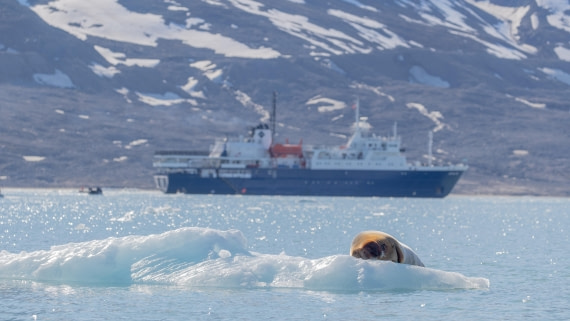 OTL03-26, Day 5, PippaLow-6576© Pippa Low - Oceanwide Expeditions.jpg