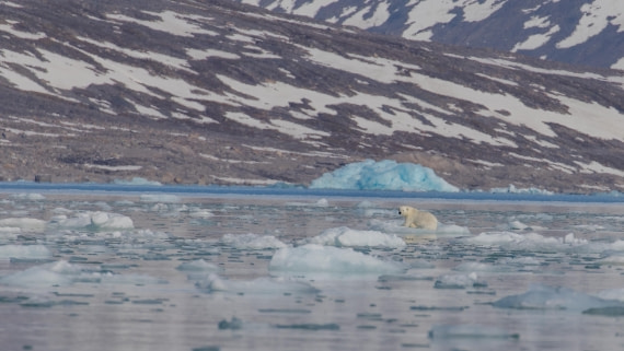 OTL03-26, Day 5, PippaLow-7358© Pippa Low - Oceanwide Expeditions.jpg