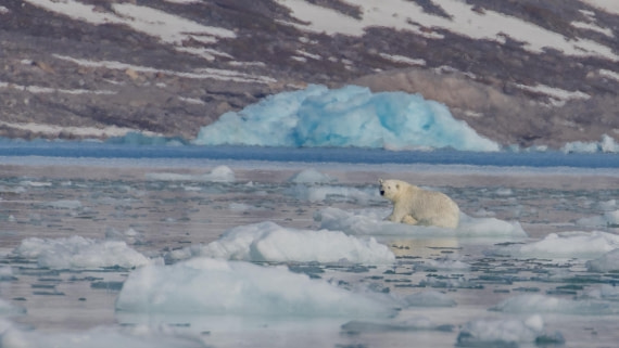 OTL03-26, Day 5, PippaLow-7361© Pippa Low - Oceanwide Expeditions.jpg