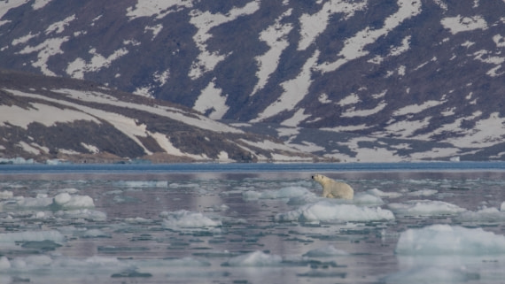 OTL03-26, Day 5, PippaLow-7379© Pippa Low - Oceanwide Expeditions.jpg