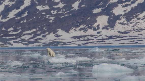 OTL03-26, Day 5, PippaLow-7407© Pippa Low - Oceanwide Expeditions.jpg