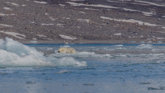 OTL03-26, Day 5, PippaLow-7764© Pippa Low - Oceanwide Expeditions.jpg