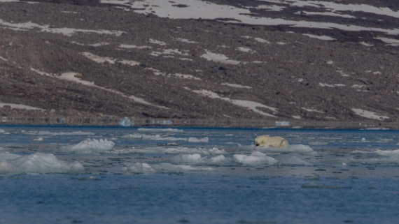 OTL03-26, Day 5, PippaLow-7797© Pippa Low - Oceanwide Expeditions.jpg