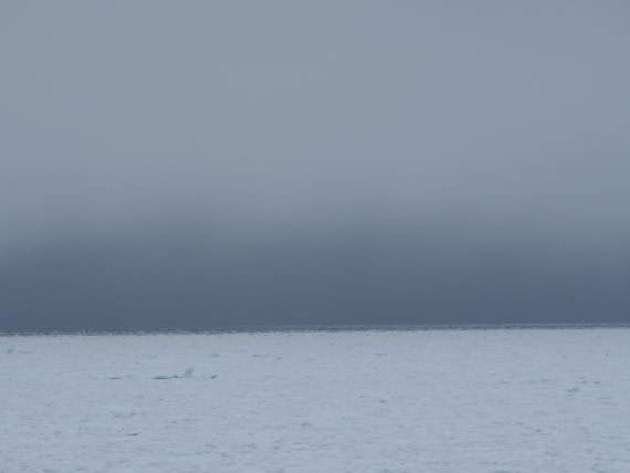OTL03-26, Day 7, P6110766© Unknown photographer - Oceanwide Expeditions.JPG