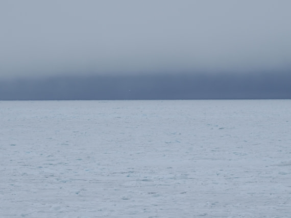 OTL03-26, Day 7, P6110768© Unknown photographer - Oceanwide Expeditions.JPG