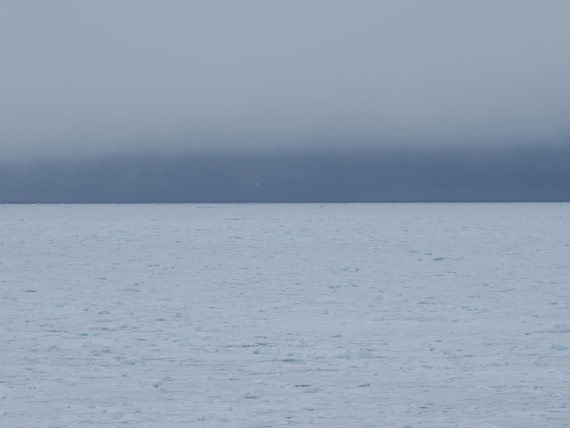 OTL03-26, Day 7, P6110769© Unknown photographer - Oceanwide Expeditions.JPG