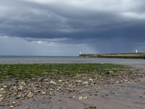 PLA03C26, Day 3, IMG_5200.JPG © Daniel Vreugdenhil - Oceanwide Expeditions.JPG