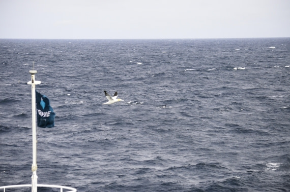 PLA03C26, Day 5, _DSC0198.JPG © Esther Josten - Oceanwide Expeditions.JPG