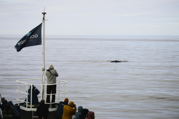 PLA03C26, Day 7, _DSC0721.JPG © Esther Josten - Oceanwide Expeditions.JPG