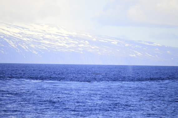 PLA03C26, Day 7, _DSC0901.JPG © Esther Josten - Oceanwide Expeditions.JPG