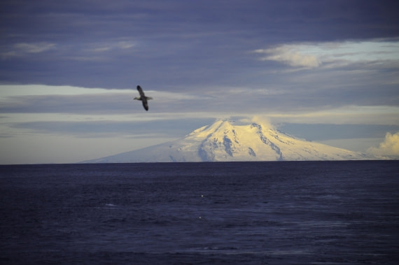 PLA03C26, Day 7, _DSC0923.JPG © Esther Josten - Oceanwide Expeditions.JPG