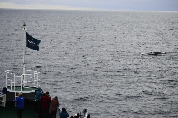 PLA03C26, Day 8, _DSC1031.JPG © Esther Josten - Oceanwide Expeditions.JPG