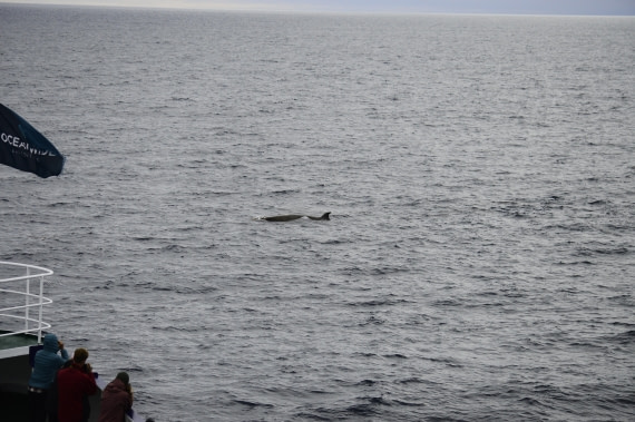PLA03C26, Day 8, _DSC1033.JPG © Esther Josten - Oceanwide Expeditions.JPG