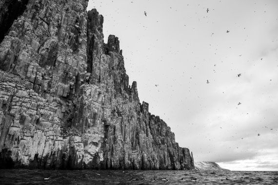 HDS04-26, Day 4, DSC_5394 © Unknown Photographer - Oceanwide Expeditions.jpg