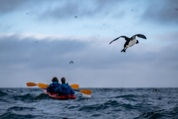 HDS04-26, Day 4, DSC_5511 © Unknown Photographer - Oceanwide Expeditions.jpg