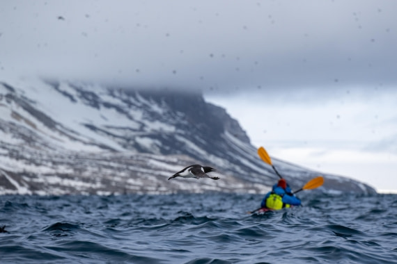 HDS04-26, Day 4, DSC_5644 © Unknown Photographer - Oceanwide Expeditions.jpg