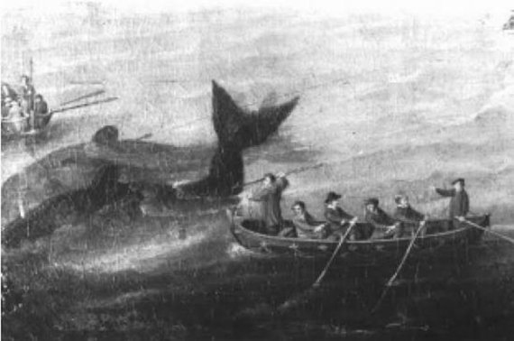HDS04-26, Day 5, whaling 1 drawing © Unknown Photographer - Oceanwide Expeditions.png