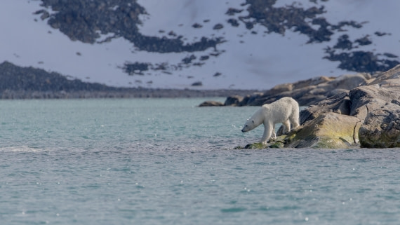 OTL04-26, Day 2, PippaLow-8907© Pippa Low - Oceanwide Expeditions.jpg