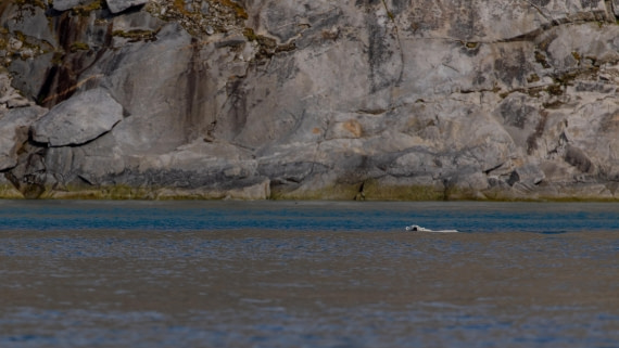 OTL04-26, Day 2, PippaLow-9355© Pippa Low - Oceanwide Expeditions.jpg