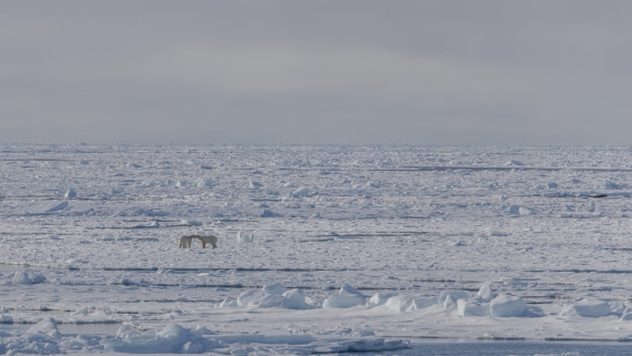 OTL04-26, Day 5, PippaLow-1062© Pippa Low - Oceanwide Expeditions.jpg