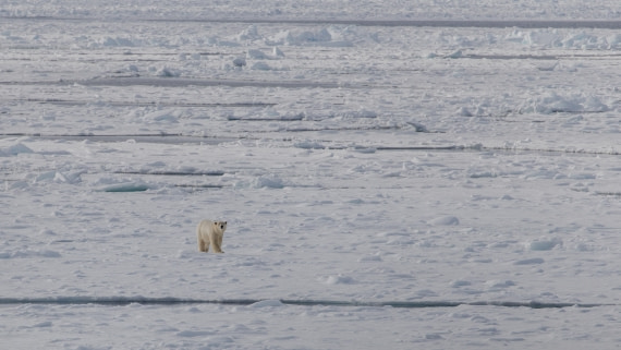 OTL04-26, Day 5, PippaLow-1284© Pippa Low - Oceanwide Expeditions.jpg