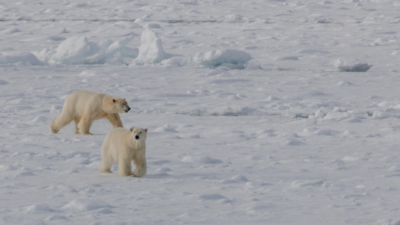 OTL04-26, Day 5, PippaLow-1306© Pippa Low - Oceanwide Expeditions.jpg