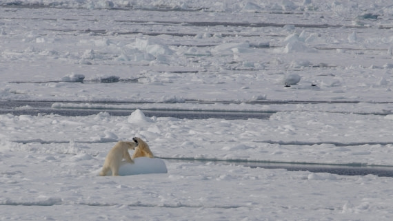 OTL04-26, Day 5, PippaLow-1381© Pippa Low - Oceanwide Expeditions.jpg